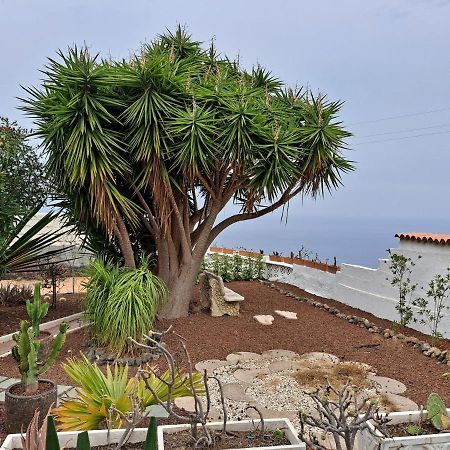 Tenerife Apartment 100M2 Casa De Don Quijote With A Terrace Of 100M2 With A View Of The Ocean And Teide Volcano And A Garden Of 600M2 อิคอดเดลอสวินอส ภายนอก รูปภาพ