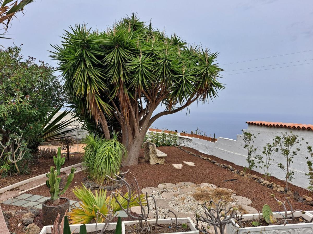 Tenerife Apartment 100M2 Casa De Don Quijote With A Terrace Of 100M2 With A View Of The Ocean And Teide Volcano And A Garden Of 600M2 อิคอดเดลอสวินอส ภายนอก รูปภาพ