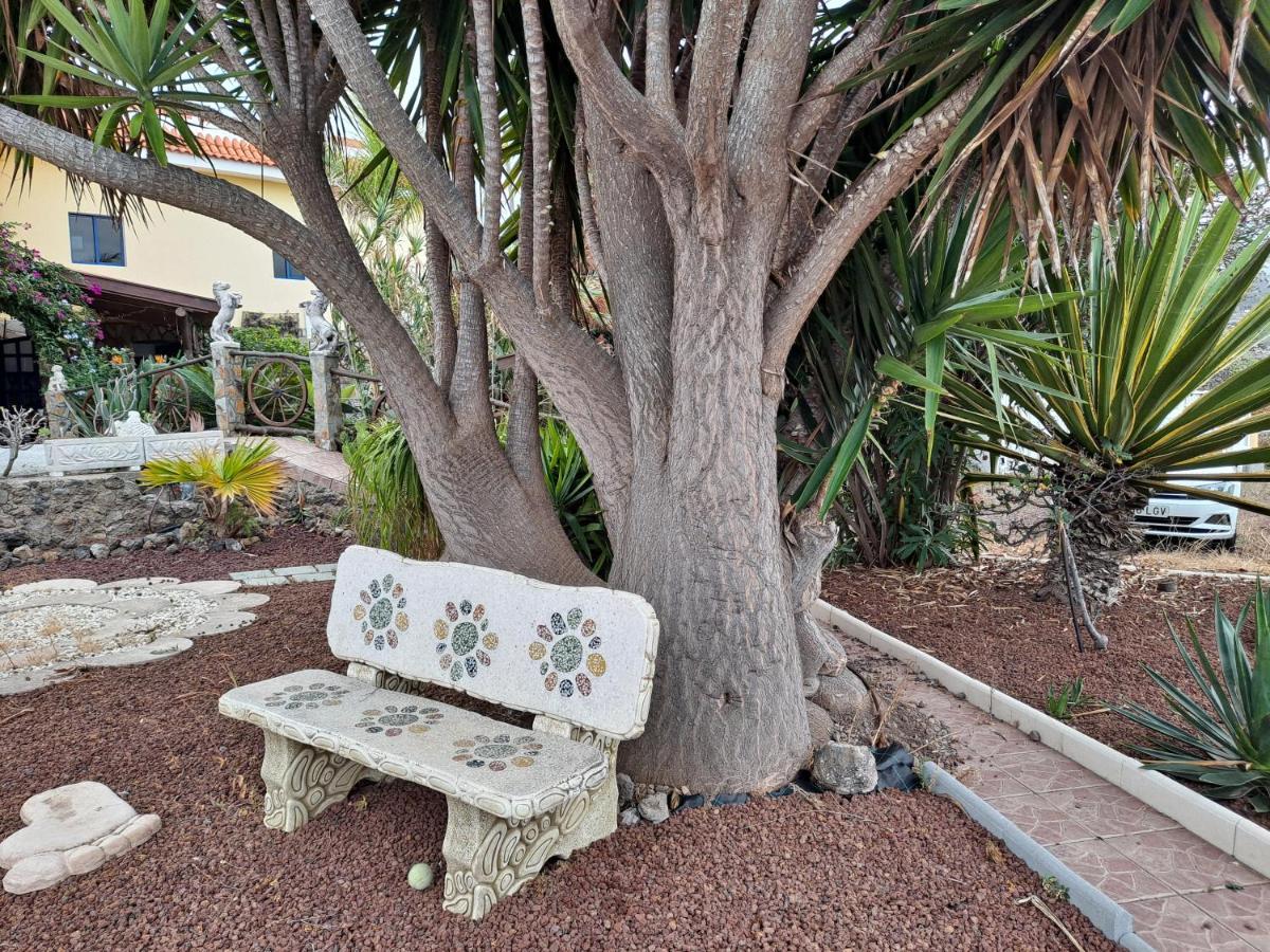 Tenerife Apartment 100M2 Casa De Don Quijote With A Terrace Of 100M2 With A View Of The Ocean And Teide Volcano And A Garden Of 600M2 อิคอดเดลอสวินอส ภายนอก รูปภาพ