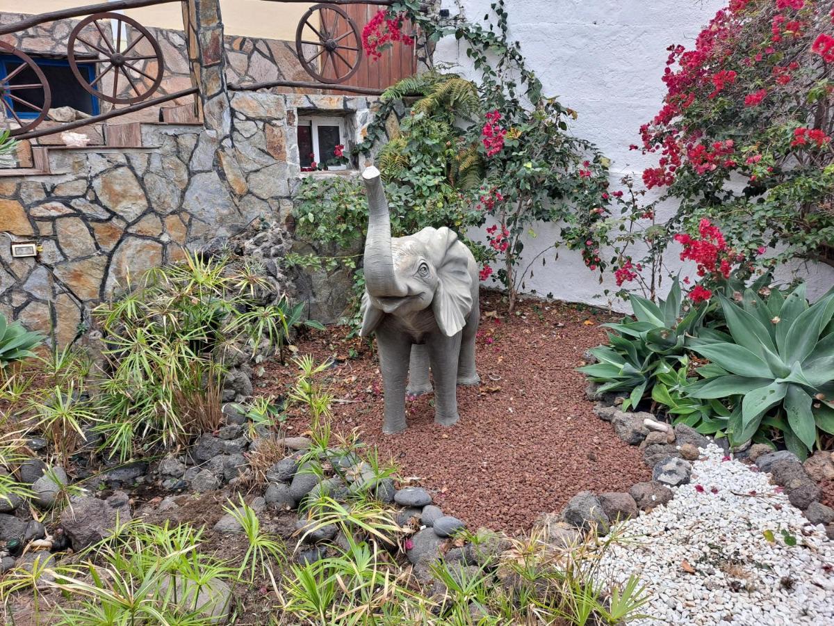 Tenerife Apartment 100M2 Casa De Don Quijote With A Terrace Of 100M2 With A View Of The Ocean And Teide Volcano And A Garden Of 600M2 อิคอดเดลอสวินอส ภายนอก รูปภาพ