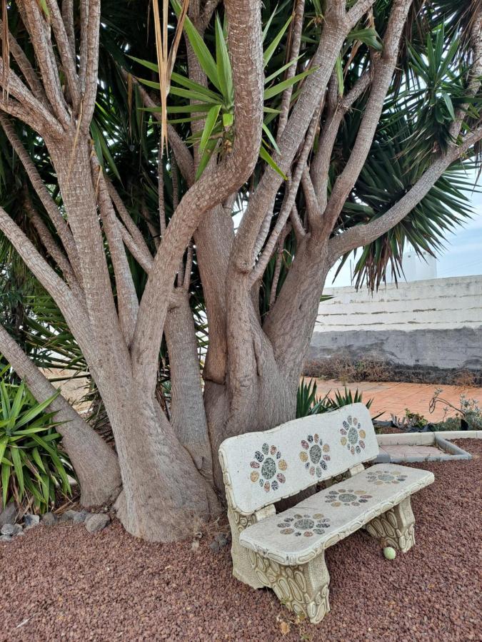 Tenerife Apartment 100M2 Casa De Don Quijote With A Terrace Of 100M2 With A View Of The Ocean And Teide Volcano And A Garden Of 600M2 อิคอดเดลอสวินอส ภายนอก รูปภาพ